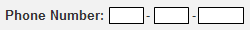 Phone number entry is broken into three separate text fields, with just one onscreen label, 'Phone Number' 